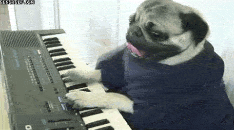 Pug Playing Piano